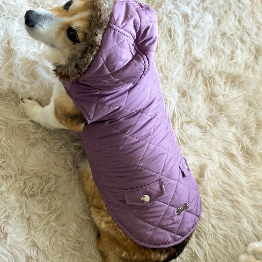 Barkley & Finn Dog Coat Medium Purple Hooded Winter Pet Jacket - Picture 12 of 12